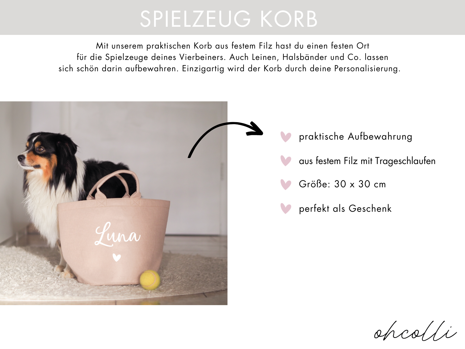 leinen aufbewahrung hund Spielzeug Korb mit Name | Aufbewahrung für Leinen | Organizer Spielzeugtasche Geschenk Hunde Welpe Katze Hundemama Hundespielzeug